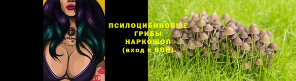 сатива Алексин