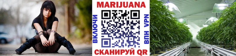 продажа наркотиков  Кызыл  Канабис семена 
